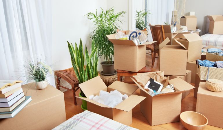 Plants packed in boxes ready for a house move