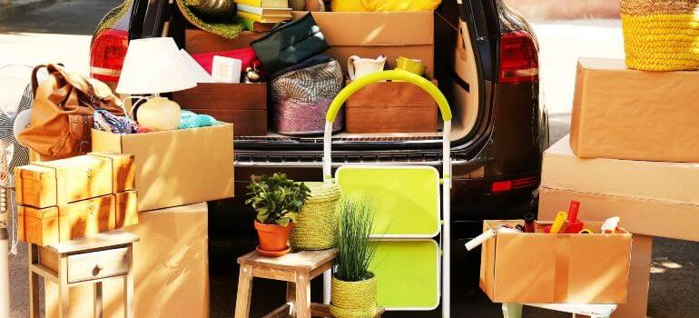 Boxes and plants packed in a haste for a move