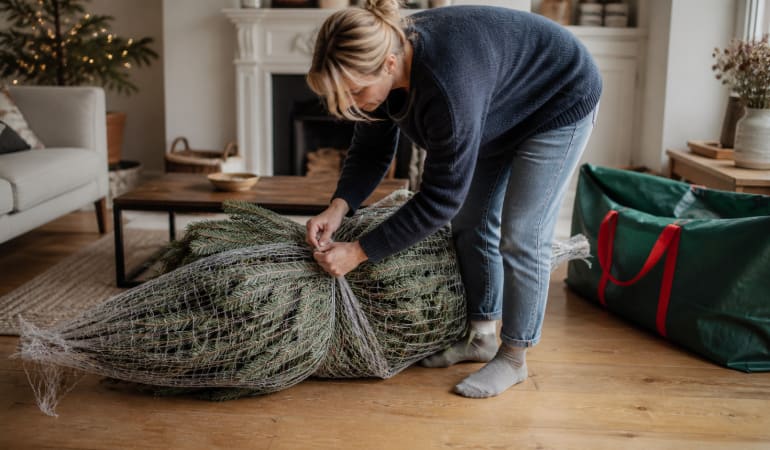 Illustration representing how to wrap a christmas tree for storage