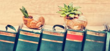 how to pack your delicate books